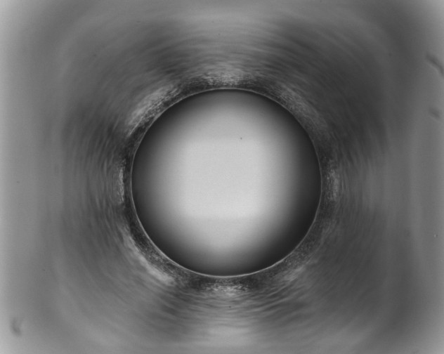 X0000101980638200807251234