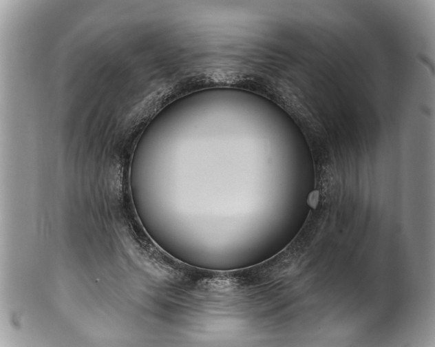 X0000101980639200807251234