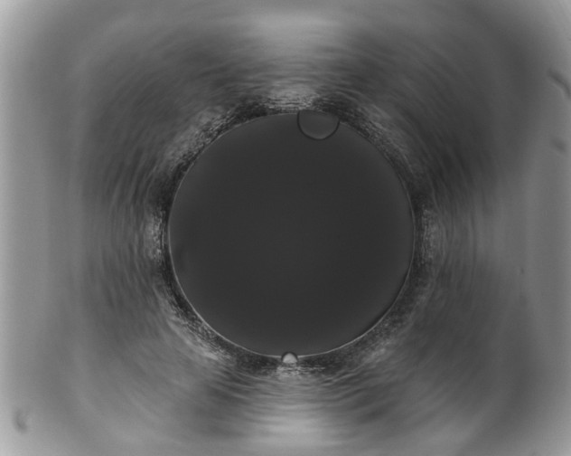 X0000101980641200807251234