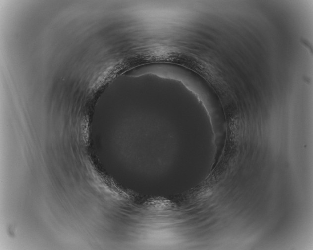 X0000101980642200807251234