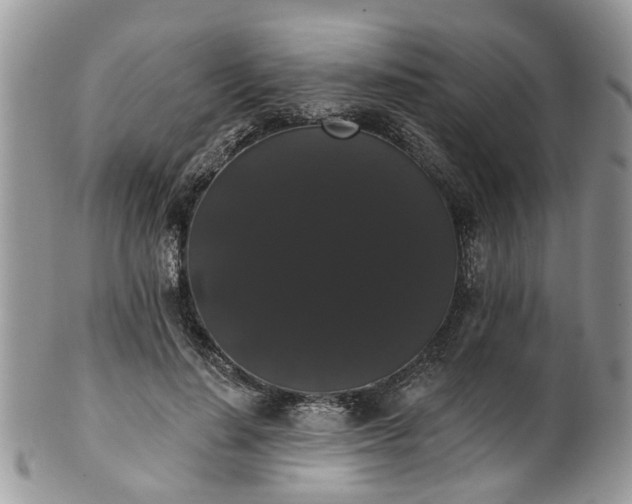 X0000101980644200807251234