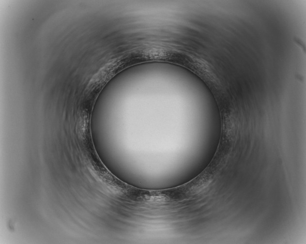 X0000101980645200807251234