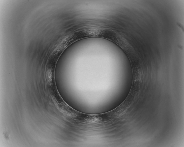 X0000101980646200807251234