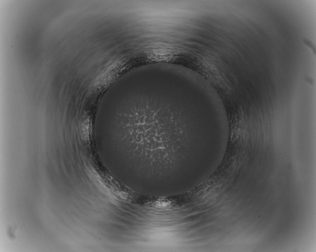 X0000101980647200807251234