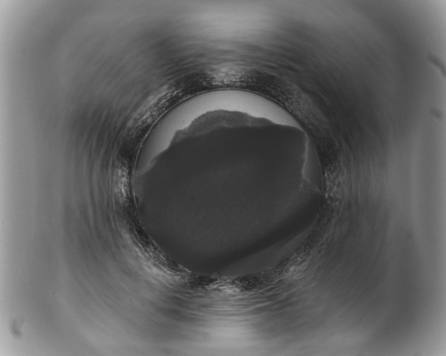 X0000101980648200807251234