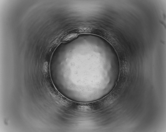 X0000101980649200807251234