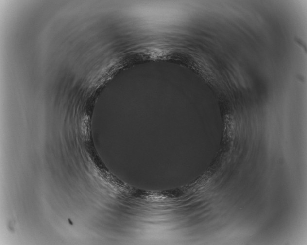 X0000101980650200807251235