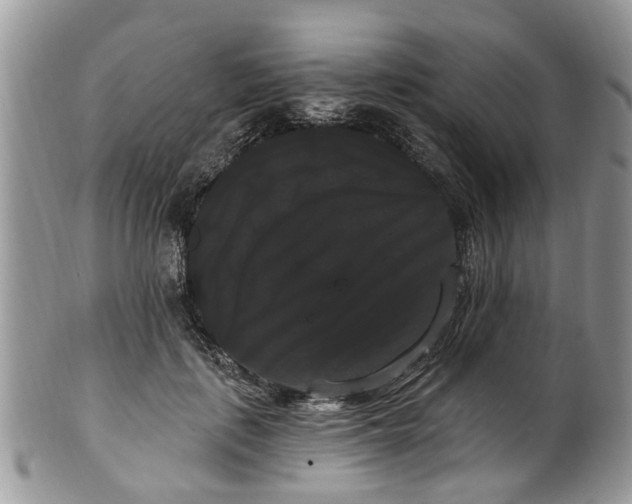 X0000101980651200807251235