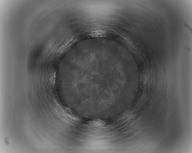 X0000101980652200807251235