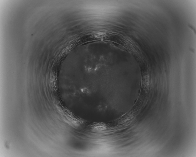 X0000101980653200807251235