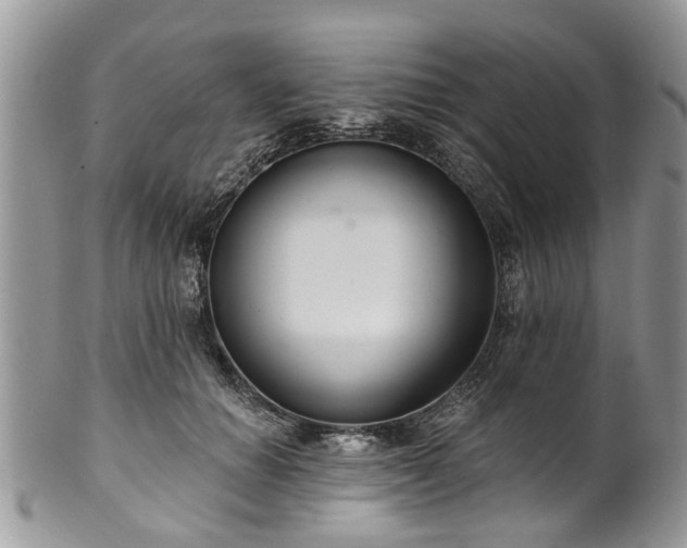 X0000101980654200807251235