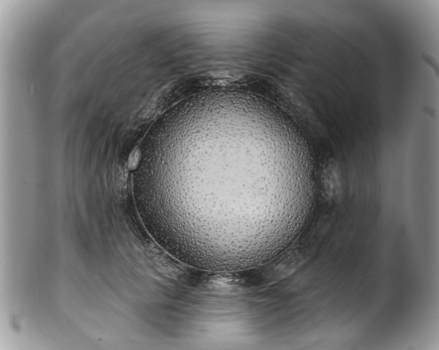 X0000101980657200807251235