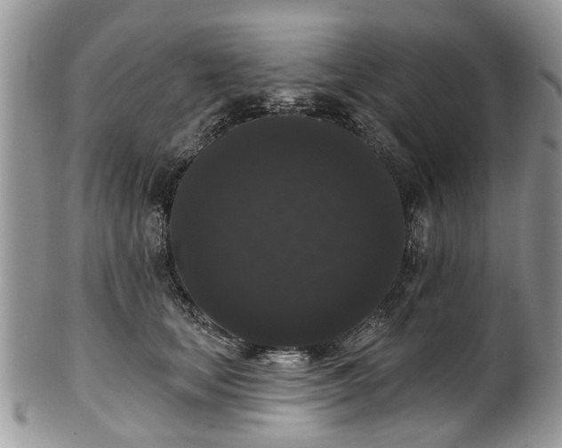 X0000101980659200807251235