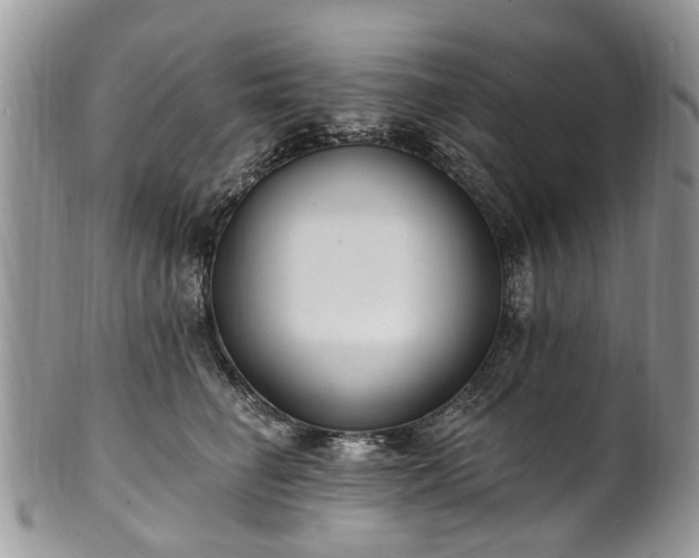 X0000101980662200807251235