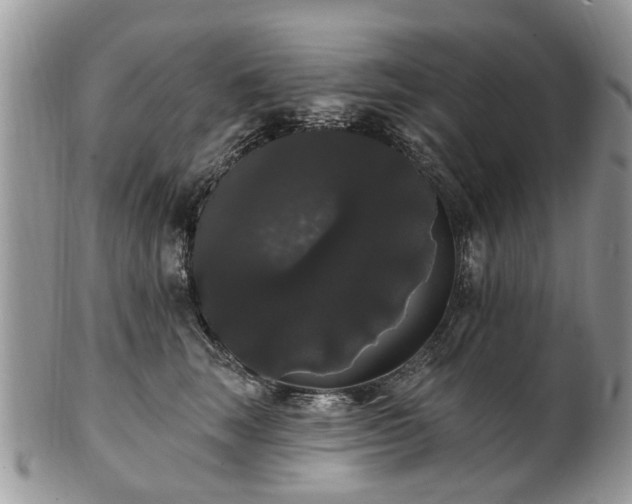 X0000101980663200807251235