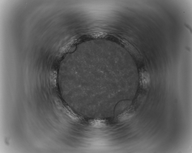 X0000101980664200807251235