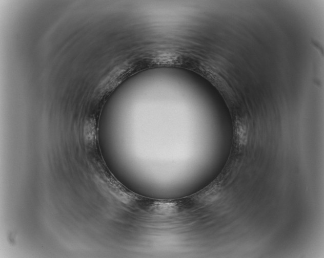 X0000101980665200807251235