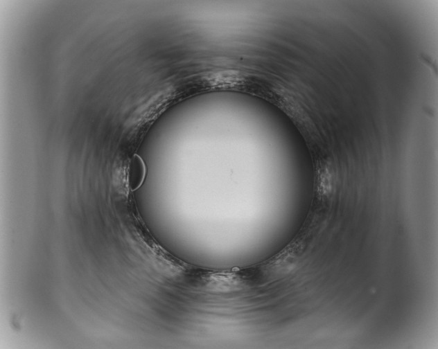 X0000101980666200807251235