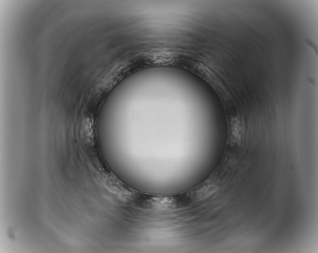 X0000101980667200807251235