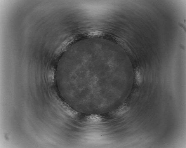 X0000101980668200807251235