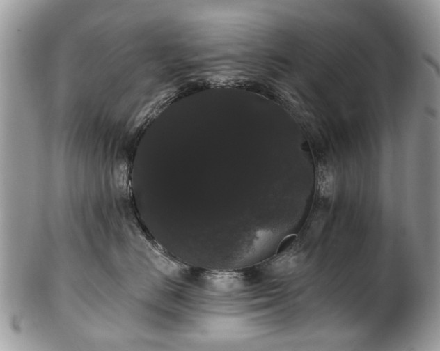 X0000101980670200807251235