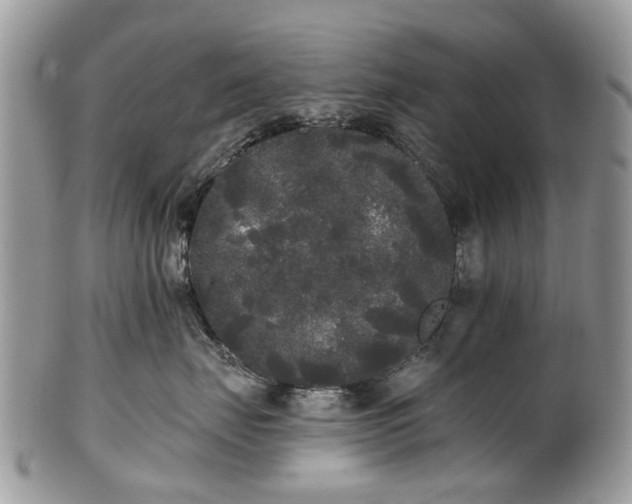 X0000101980671200807251235