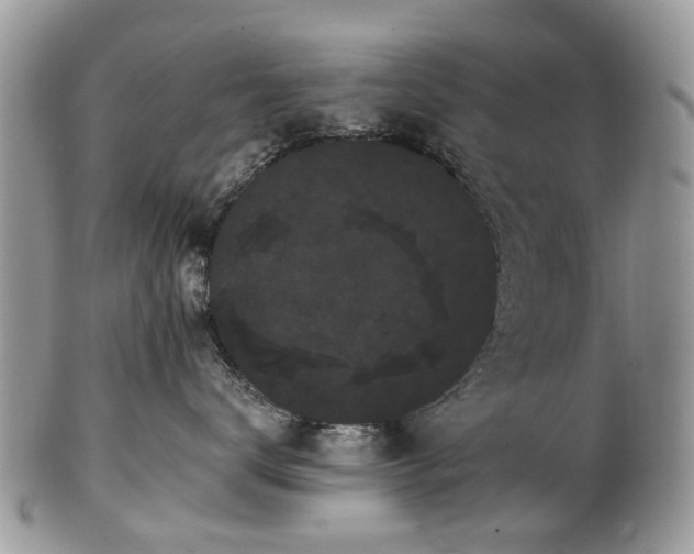 X0000101980672200807251235