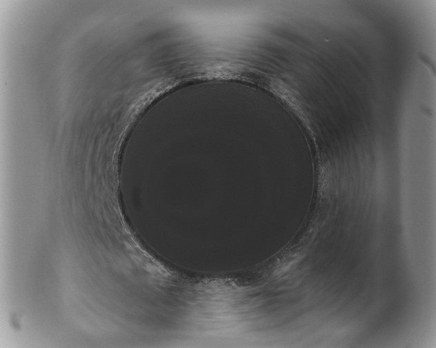 X0000101980673200807251234