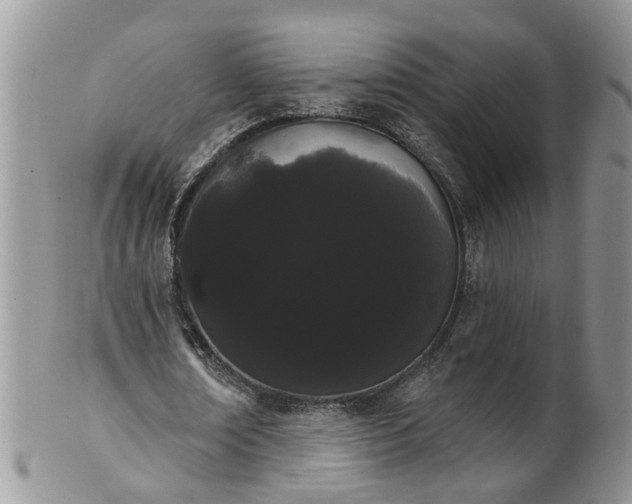 X0000101980674200807251234