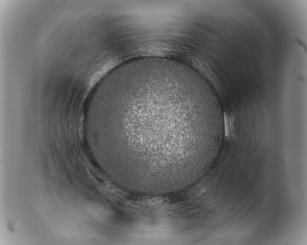 X0000101980675200807251234