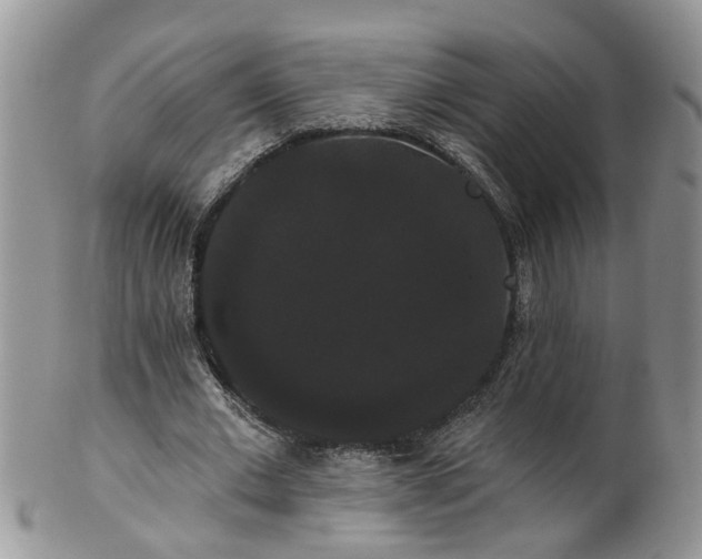 X0000101980677200807251234