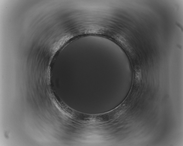 X0000101980678200807251234