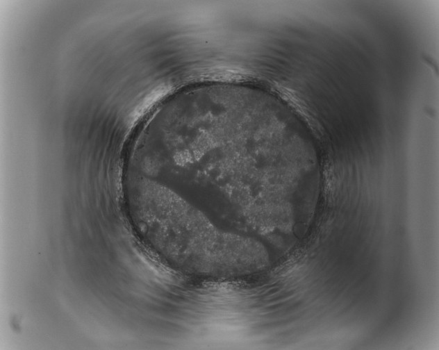 X0000101980679200807251234