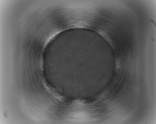 X0000101980680200807251234