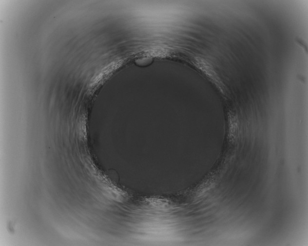 X0000101980681200807251234