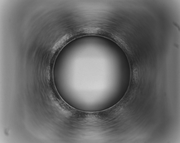 X0000101980682200807251234