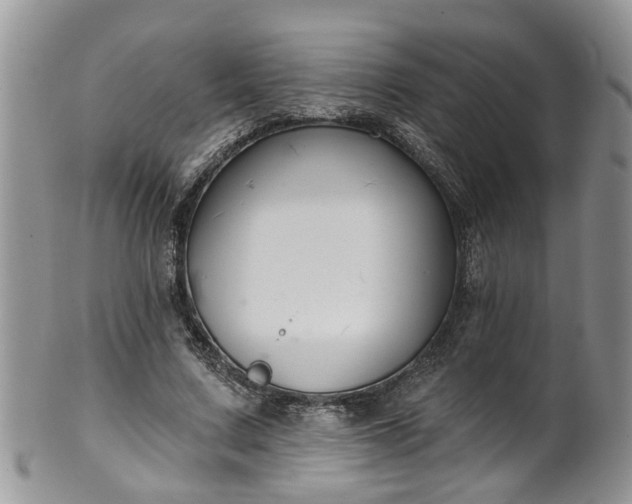 X0000101980683200807251234