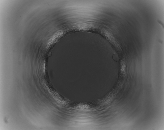 X0000101980685200807251234