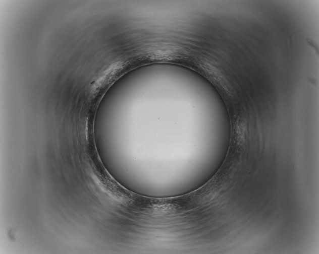 X0000101980686200807251234