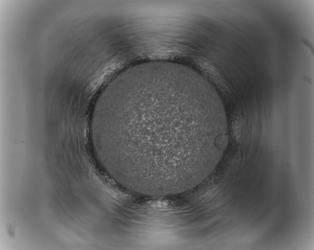 X0000101980687200807251234