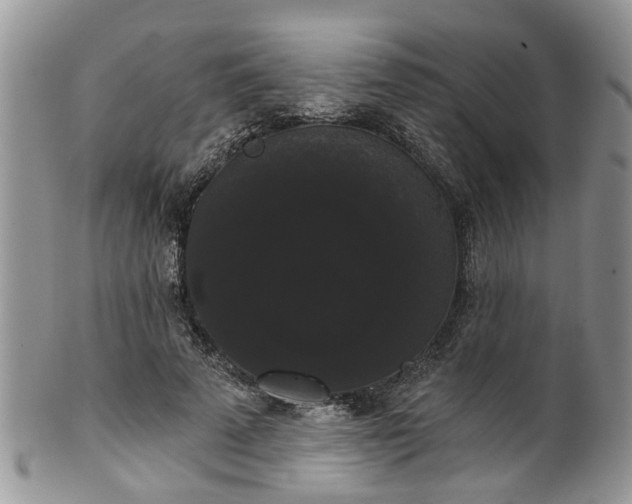 X0000101980689200807251234