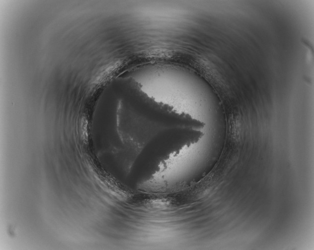 X0000101980692200807251234