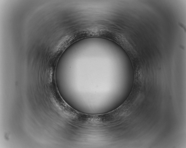 X0000101980694200807251234