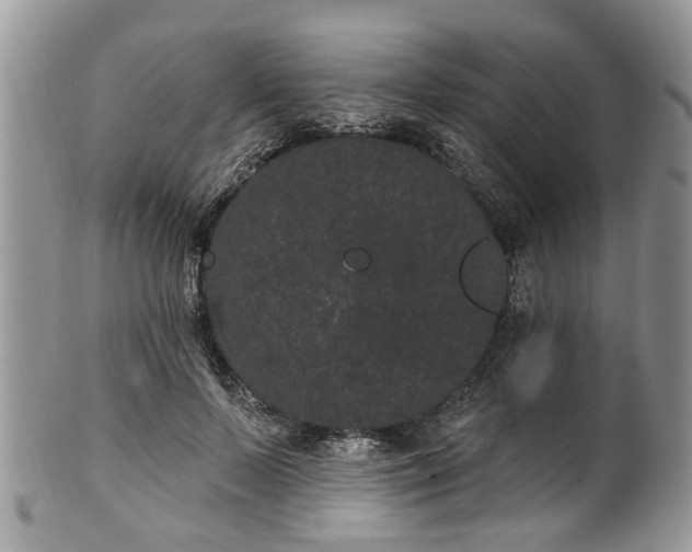 X0000101980695200807251234