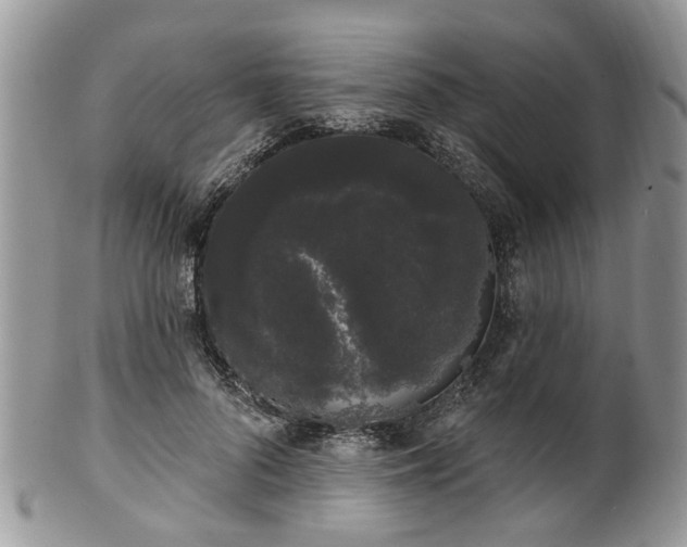 X0000101980696200807251234