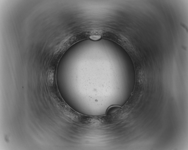 X0000101980697200807251234