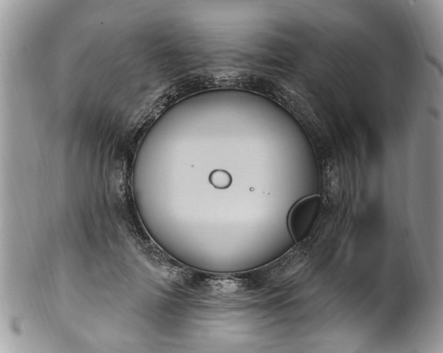 X0000101980698200807251234