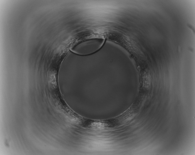 X0000101980699200807251234