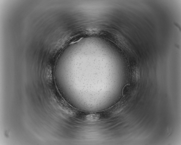 X0000101980700200807251234