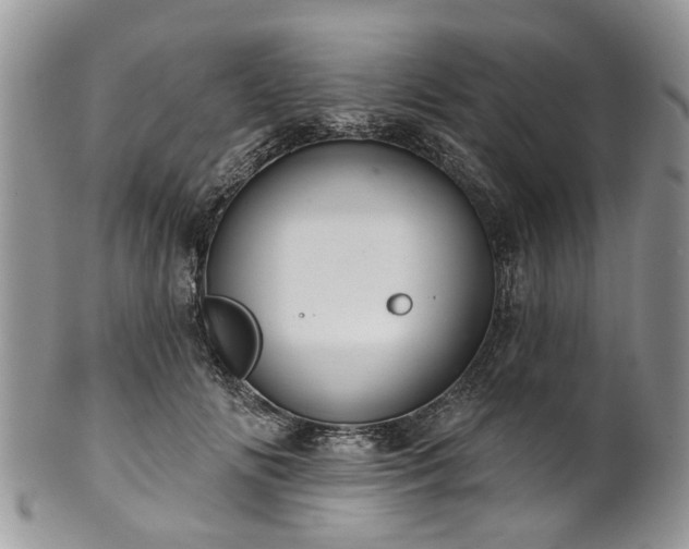 X0000101980702200807251234